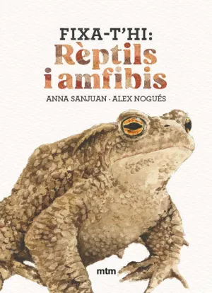 FIXA-T'HI: RÈPTILS I AMFIBIS