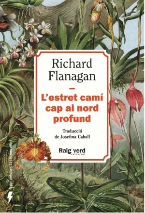 L´ESTRET CAMI CAP AL NORD PROFUND