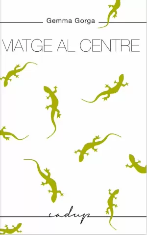 VIATGE AL CENTRE VIATGE AL CENTRE