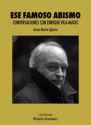ESE FAMOSO ABISMO ESE FAMOSO ABISMO