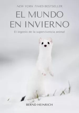 EL MUNDO EN INVIERNO