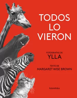 TODOS LO VIERON TODOS LO VIERON
