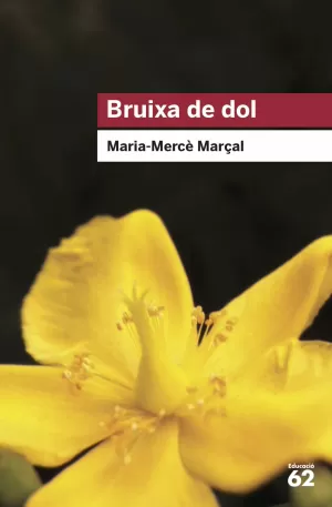 BRUIXA DE DOL (1977-1979) BRUIXA DE DOL (1977-1979)