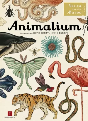 ANIMALIUM 5ªED ANIMALIUM 5ªED