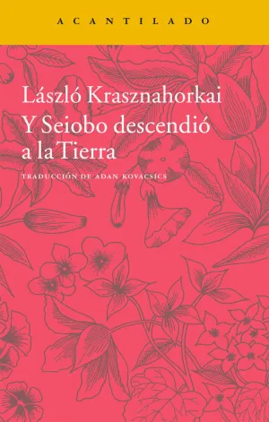 Y SEIOBO DESCENDIÓ A LA TIERRA    *