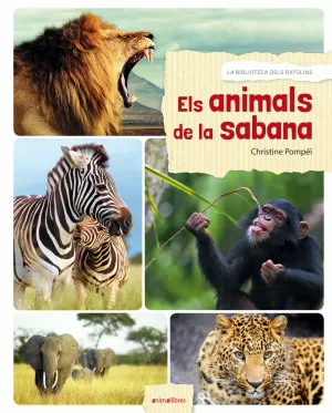 ELS ANIMALS DE LA SABANA ELS ANIMALS DE LA SABANA