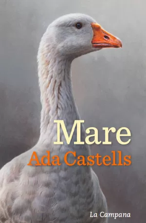 MARE