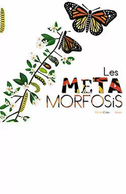 LES METAMORFOSIS LES METAMORFOSIS