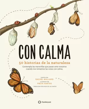 CON CALMA CON CALMA
