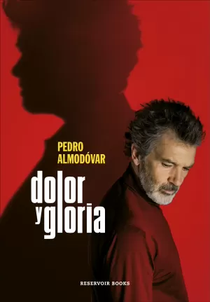 DOLOR Y GLORIA DOLOR Y GLORIA