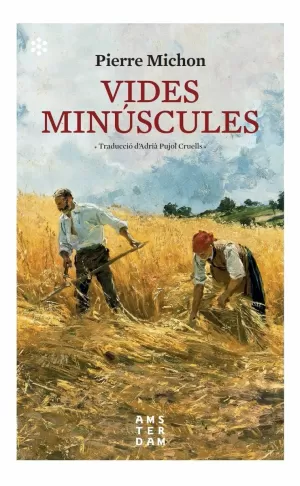 VIDES MINÚSCULES VIDES MINÚSCULES