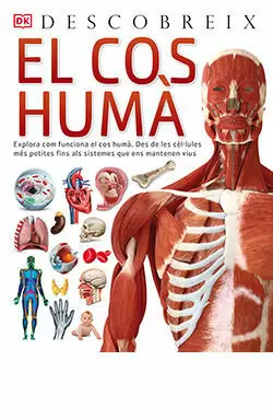 EL COS HUMÀ, DESCOBREIX EL COS HUMÀ, DESCOBREIX
