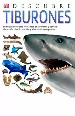 TIBURONES, DESCUBRE TIBURONES, DESCUBRE
