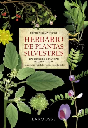 HERBARIO DE PLANTAS SILVESTRES HERBARIO DE PLANTAS SILVESTRES