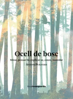 OCELL DE BOSC OCELL DE BOSC