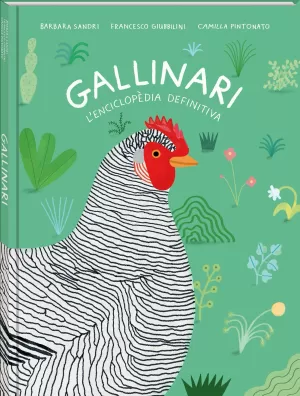 GALLINARI GALLINARI