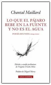 LO QUE EL PÁJARO BEBE EN LA FUENTE Y NO ES EL AGUA LO QUE EL PÁJARO BEBE EN LA FUENTE Y NO ES EL AGUA