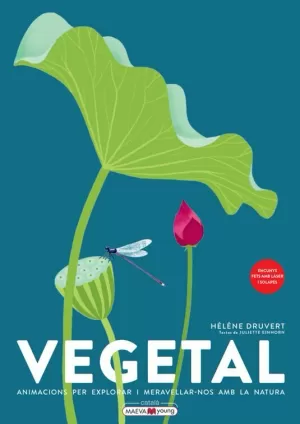 VEGETAL CAT VEGETAL CAT