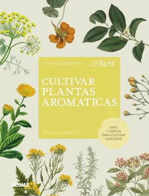 CULTIVAR PLANTAS AROMÁTICAS