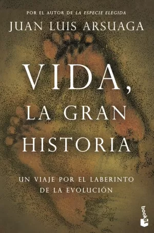 VIDA, LA GRAN HISTORIA VIDA, LA GRAN HISTORIA