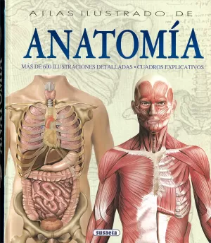 ANATOMÍA ANATOMÍA