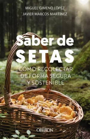 SABER DE SETAS SABER DE SETAS