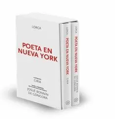 POETA EN NUEVA YORK POETA EN NUEVA YORK