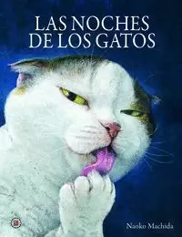 LAS NOCHES DE LOS GATOS LAS NOCHES DE LOS GATOS