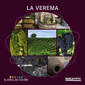 LA VEREMA LA VEREMA