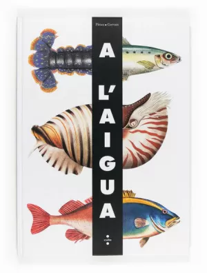 A L'AIGUA A L'AIGUA
