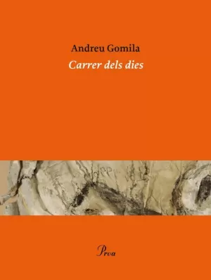 CARRER DELS DIES