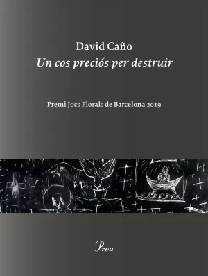 UN COS PRECIÓS PER DESTRUIR UN COS PRECIÓS PER DESTRUIR