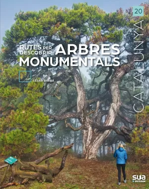 ARBRES MONUMENTALS, RUTES PER DESCOBRIR -SUA