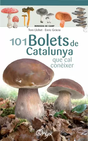 101 BOLETS DE CATALUNYA 101 BOLETS DE CATALUNYA