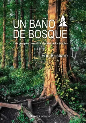 UN BAÑO DE BOSQUE UN BAÑO DE BOSQUE