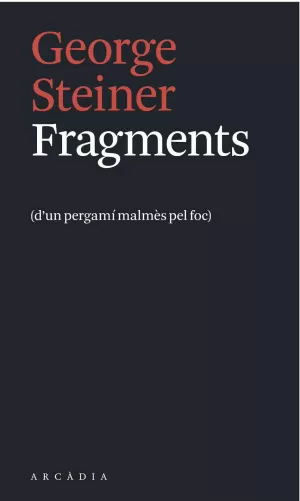 FRAGMENTS FRAGMENTS