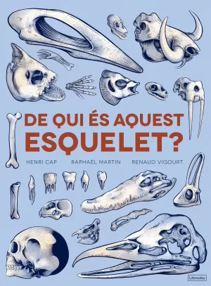 DE QUI ÉS AQUEST ESQUELET? DE QUI ÉS AQUEST ESQUELET?
