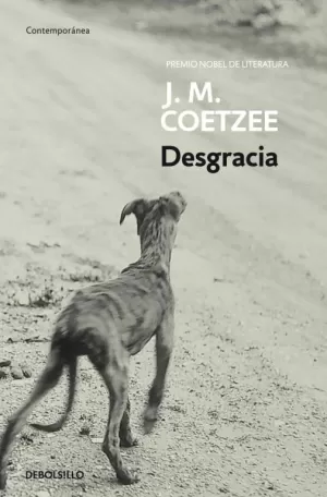 DESGRACIA DESGRACIA