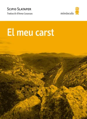 EL MEU CARST
